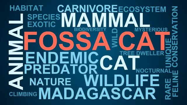 Fossa Cat Word Cloud