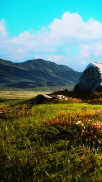 A vast grass field stretches before mountains under a bright blue sky. Rocks and small flowers dot the scene as clouds drift lazily overhead. It is a peaceful setting in nature.