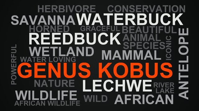 Genus Kobus Word Cloud
