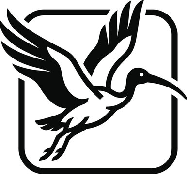 Minimalist black and white vector illustration of a flying ibis bird inside a rounded square frame