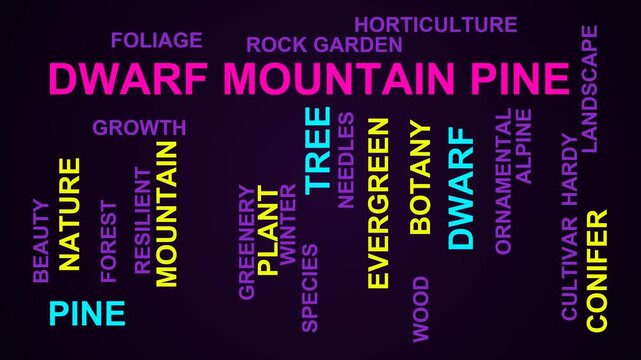 Dwarf Mountain Pine Word Cloud