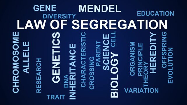 Law Of Segregation Word Cloud