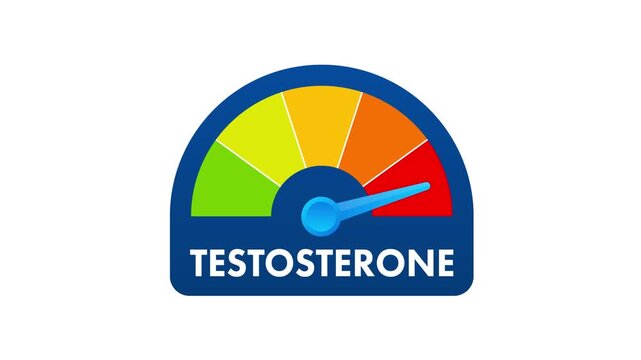 Testosterone level meter animation for medical use