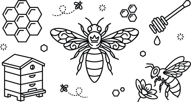 Minimalist line art vector illustration of queen bee wooden beehive honeycomb and honey dipper isolated on white background