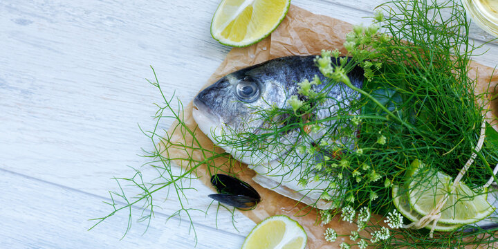 Raw seabream fish background with copy space