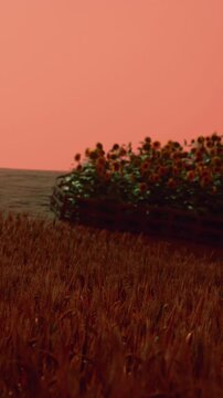 A field shows sunflowers growing in a patch. The sky has orange and pink hues as the sun sets. The wide space has no people, just plants and sky.