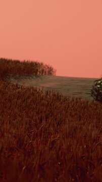 A person rides an all terrain vehicle through a field of tall grass during sunset. The sky has orange and pink hues as the sun sets on the horizon.