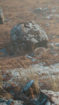 A big rock is placed in an open area with dry grass and small plants around it during daylight. The landscape shows a mixture of earthy tones and textures.