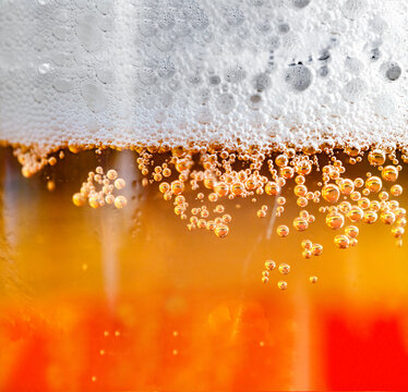  Cerveza fresca fr&iacute;a con burbujas y espuma densa.Bebida refrescante con abundante espuma; cerveza artesanal de calidad superior.