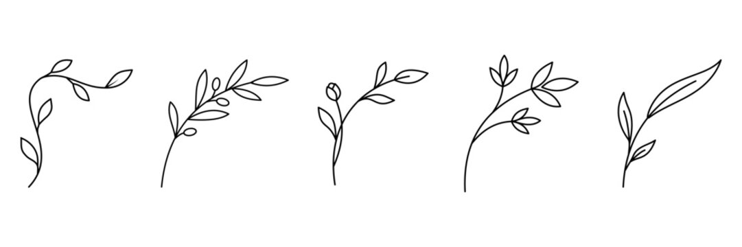 Set of hand drawn botanical elements, minimalist floral branches, line art vector illustration