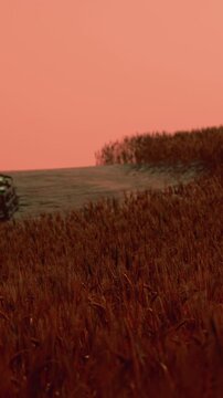 Sunset colors fill the sky as water meets grass on a calm evening. The scene shows a few visible plants by the shore, creating a simple and natural landscape.