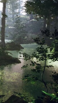 A river flows through a forest during sunset. Trees surround the water. Green plants grow at the riverbank. The scene captures nature and reflects light on the water surface.