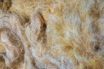 Delicate and soft fibers are arranged naturally, resting gently on a surface, creating a serene and harmonious appearance © Miroslav