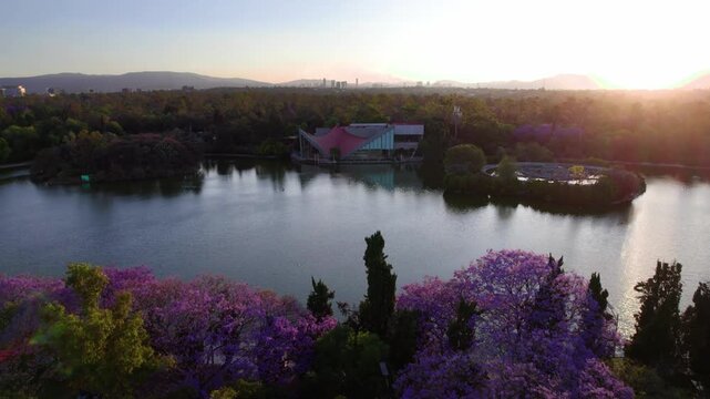 Aerial view of Bosque de Chapultepec with its lake, lush purple jacaranda trees, and modern architecture under the warm light of the setting sun in Mexico City, Mexico City, Mexico.