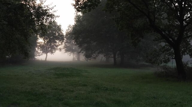 Mist shrouds trees and grass in early morning light. Fog curls around tree trunks, soft and quiet. Lone bale rests unseen in the green. Silent, misty field feels calm and still