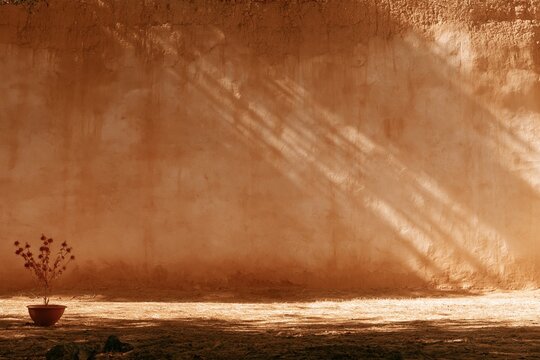 Weathered adobe wall in a sun-drenched village yard with a dried plant in a pot, bleached by harsh light for a minimal background and copy space