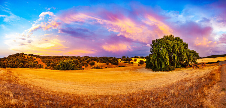  Paisaje rural con &aacute;rboles verdes y coloridas nubes al atardecer. Paisaje rural, tierras agr&iacute;colas, conservaci&oacute;n de la naturaleza, entorno tranquilo, encanto rural.