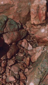 A rusty food can rests on the ground surrounded by stones and rocks. This scene shows the remnants of human activity in a natural environment. The light of the day shines on the surface.