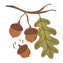 Brown oak acorns and leaves falling down a wooden branch, perfect for autumnthemed designs and naturerelated projects. Ideal for seasonal graphic designs. © Sawah Maya