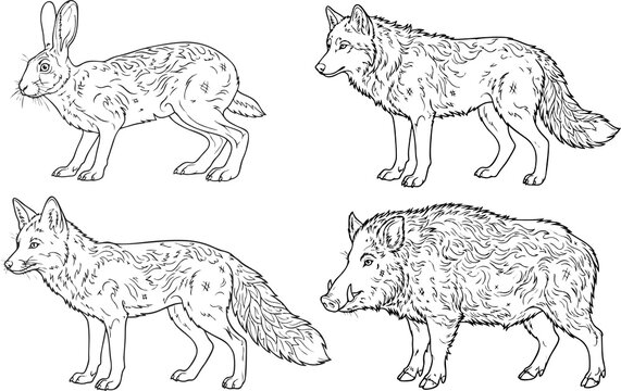 Hand drawn wild animals outline vector set: bear, lynx, deer, cougar
