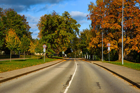 Autumn city street lined with colorful trees, sidewalks, road signs, and golden foliage under a partly cloudy blue sky.