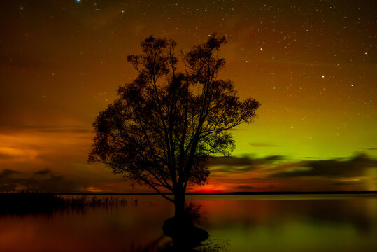 A spectacular night sky with the Northern Lights over a calm lake, featuring a solitary tree in the water, glowing clouds, and a dark shoreline.