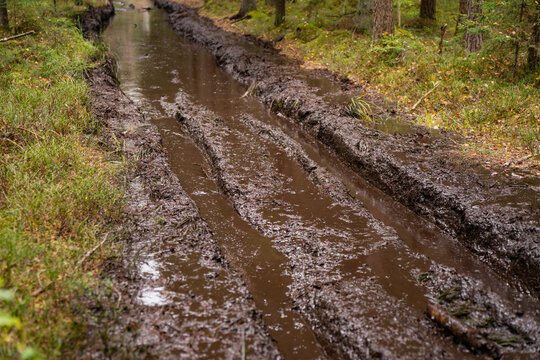 Water pooled in parallel tire grooves along a churned woodland trail, showing reduced ground clearance challenges and terrain conditions for recreational off-road journeys