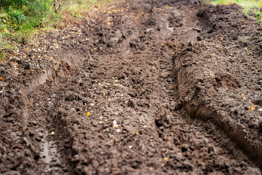 Deep parallel tire ruts cut through soft mud along an unpaved woodland trail, showing ground disturbance and access challenges associated with recreational 4x4 journeys