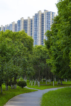 Winding Park Path Through Lush Green Trees with Modern Residential Buildings in the Background
