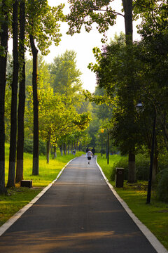 Sunlit paved path through a lush green park with tall trees and a person walking in the distance