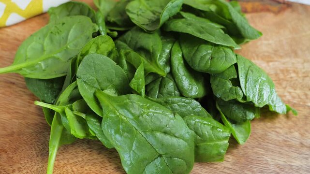 Close-up of fresh green spinach leaves, a nutritious leafy green ingredient rich in vitamins and commonly used in healthy cooking. High quality 4k footage