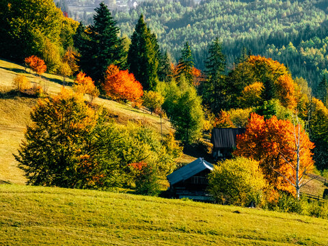 Wooden cabins nestled in vibrant autumn mountain forest and meadow