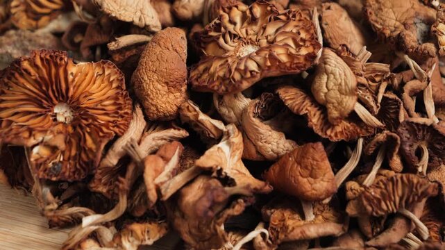 Close-up of a dried mushroom mix, assorted dehydrated mushrooms used as natural cooking ingredients for soups, sauces and savory dishes. High quality 4k footage