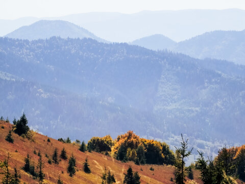 Layered autumn mountain ranges fading into distance with forested slopes