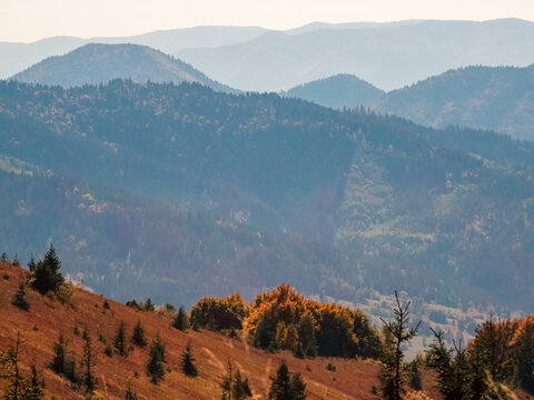 Layered autumn mountain ranges fading into distance with forested slopes