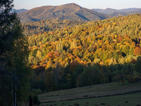 Sunlit autumn mountain slopes with colorful foliage and distant ridges