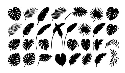 Black Tropical Leaves Exotic Foliage and Botanical Branch Vector Set © MdHuchen