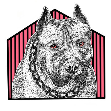 wolf head vector