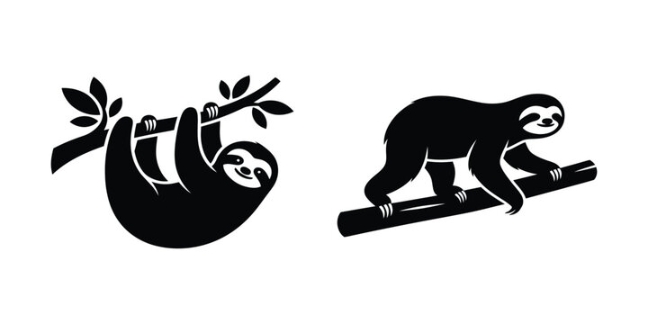 Minimalist black and white vector illustration set of cute sloths hanging and climbing on tree branches