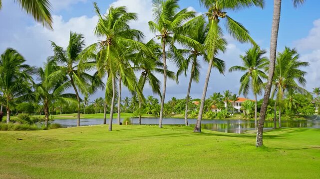 Golf course with a lake and natural landscape. A green lawn and mature palm trees set against a vibrant park landscape. A grassy lawn in an urban park with deciduous trees and a blue sky overhead.