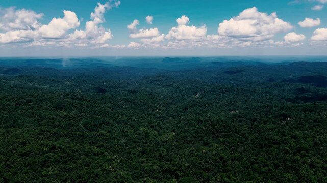 Drone footage offers a broad aerial view of dense tropical rainforest canopy extending across rolling green hills in Ecuador's Oriente. Forested ridges recede toward the horizon beneath a bright, clou