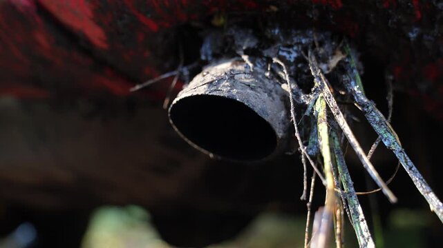 Mud-coated vehicle exhaust outlet has grass and plant stems caught around the pipe beneath the body, showing debris accumulation relevant to cleaning after trail driving