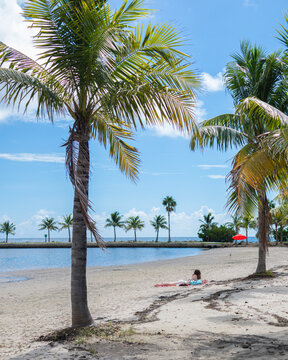 Tropical Beach with Palm Trees and Woman Relaxing by the Water