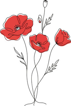 poppy flowers vector illustration