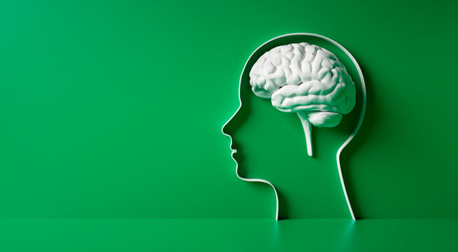 Conceptual artwork showing a 3D silhouette of a head with white brain against a green wall - 3D illustration