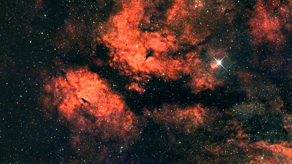 IC 1318, also known as the Gamma Cygni Nebula, is a large complex of diffuse nebulae visible in the constellation Cygnus  it is part of the vast Cygnus molecular cloud complex, one of the largest and  © fotonaturali