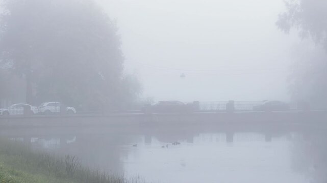 Ducks swim on calm water in Catherine Park, Pushkin, Saint Petersburg. A bridge disappears into thick fog, creating a mysterious and peaceful feeling.