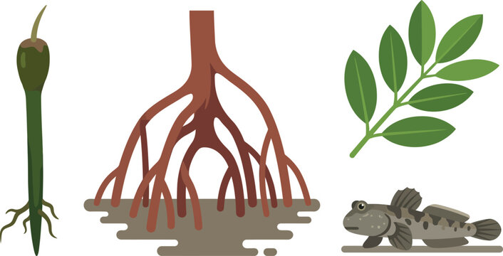 Mangrove Tree Ecosystem Vector Icon Set Featuring Prop Roots, Seedling Propagule, Green Leaves, and Mudskipper Fish for Coastal Wetland and Biology Education Designs