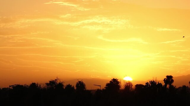 Sun rising over palm trees and mountains in Marrakech, Morocco