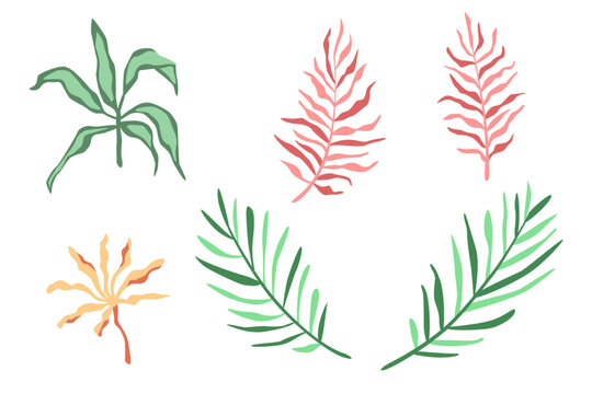 Vector illustration set of colorful leaves. Hand drawn tropical elements isolated on white background, for summer designs.